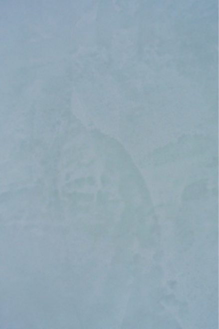 1667382958224903.png 馬曼努干粉.png