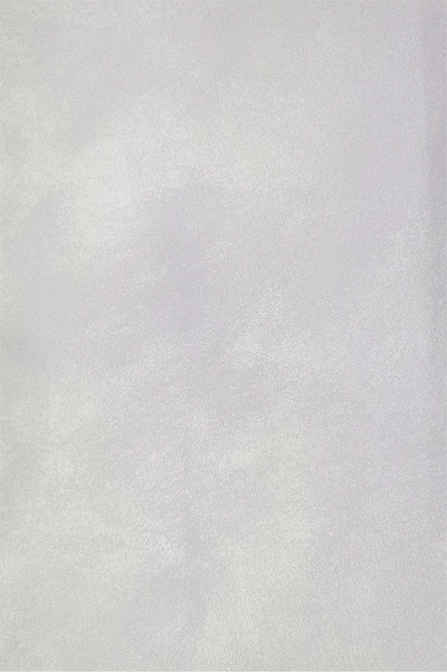 卡樂斯1.png